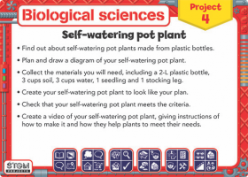 STEM projects box biological sciences self watering plant pot foundation Australian Curriculum